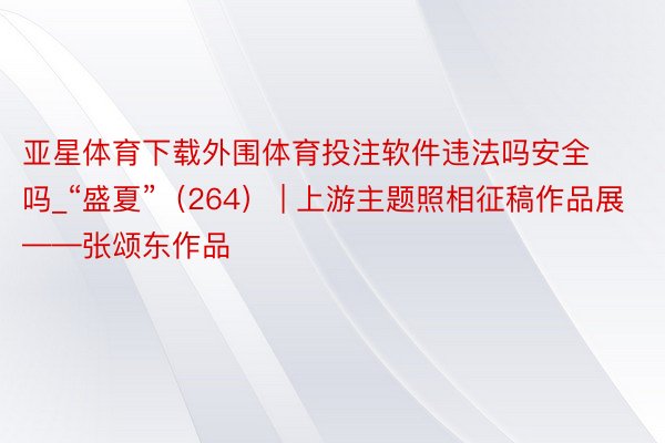 亚星体育下载外围体育投注软件违法吗安全吗_“盛夏”（264） | 上游主题照相征稿作品展——张颂东作品